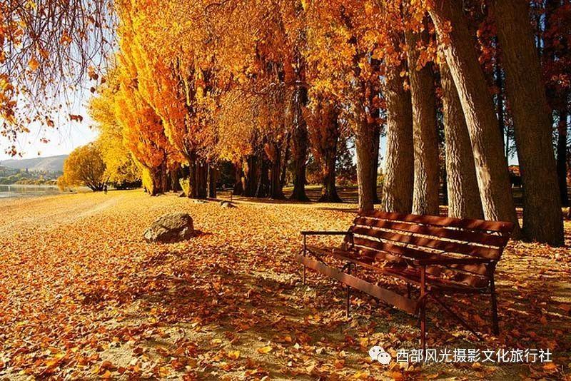 逃离部落洞穴